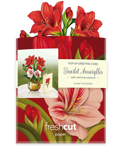 Mini Christmas Scarlet Amaryllis Pop-up Greeting Card