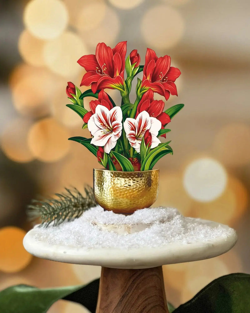 Mini Christmas Scarlet Amaryllis Pop-up Greeting Card