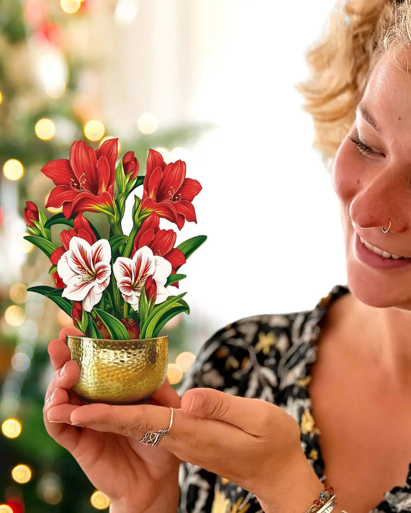 Mini Christmas Scarlet Amaryllis Pop-up Greeting Card
