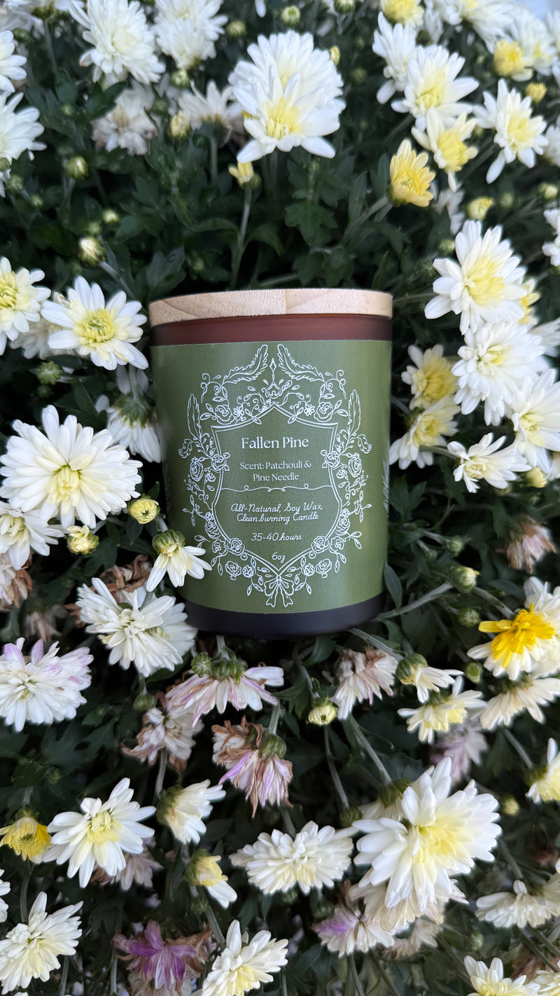 Fallen Pine – All Natural Autumn & Winter Candle 🌲