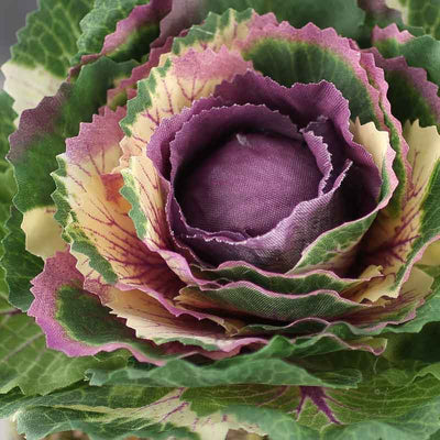 Artificial Decorative Ornamental Cabbage