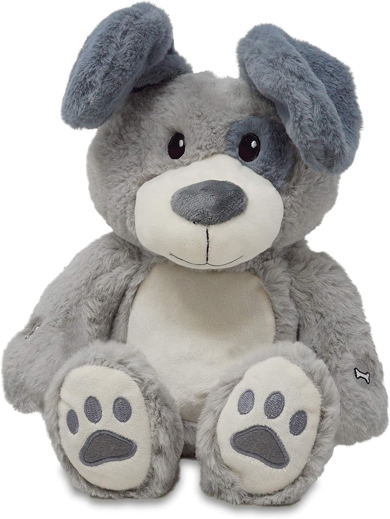 Peeka Boo Parker 🐶 Musical Plush