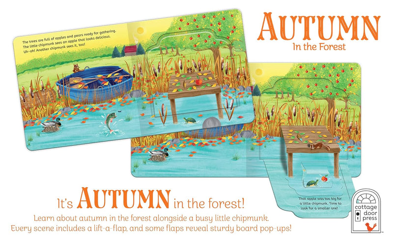 Pop-Up Surprise Autumn in the Forest
