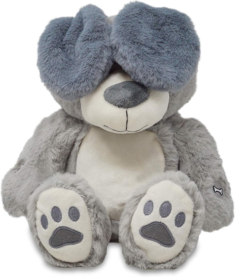 Peeka Boo Parker 🐶 Musical Plush