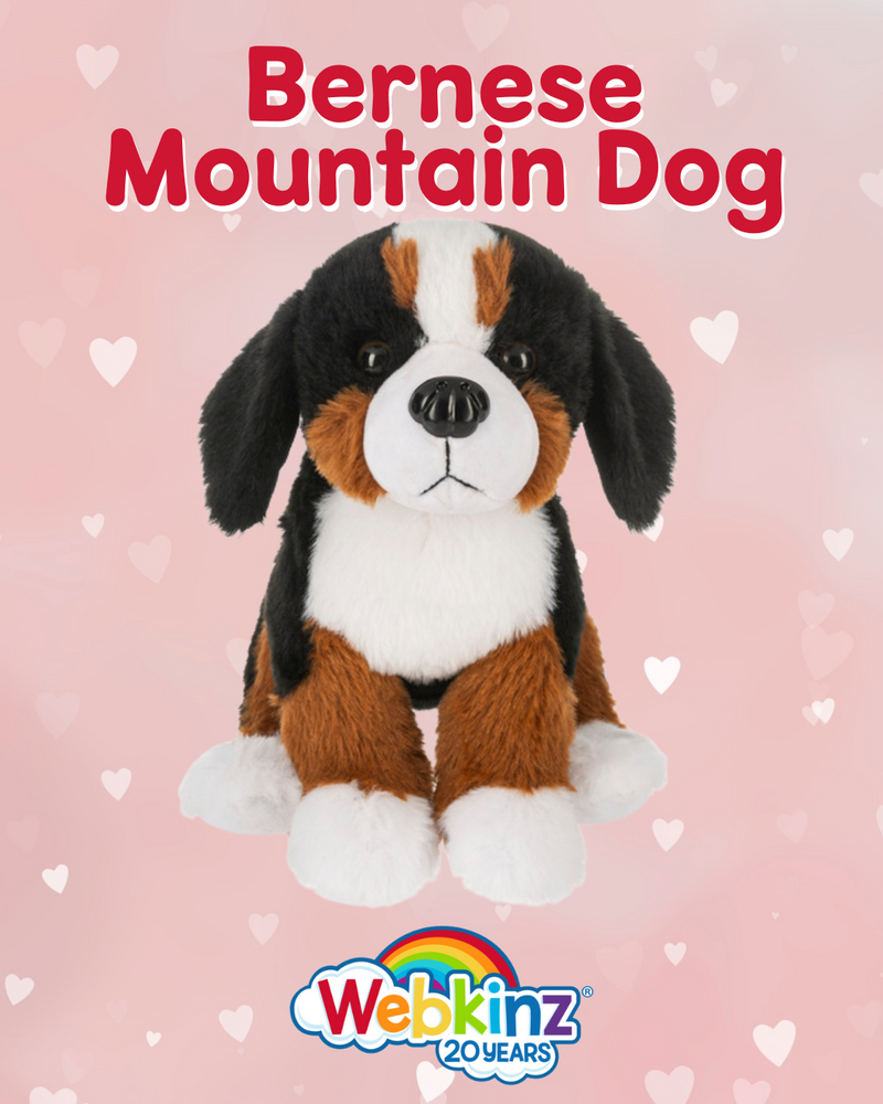 Bernese Mountain Dog - Webkinz  *LIMIT 1 PER CUSTOMER