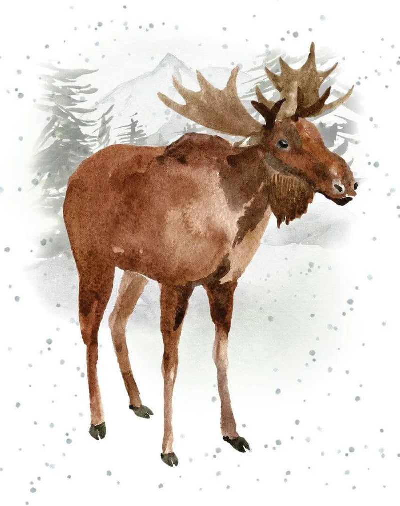Enclosure Card Northern Wishes