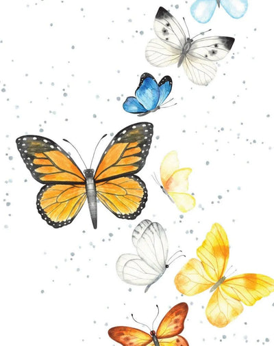 Enclosure Card-Butterflies