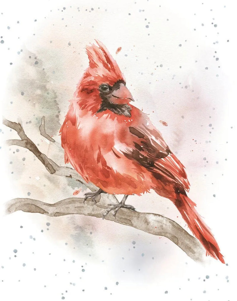 Enclosure Card-Feathered Friend