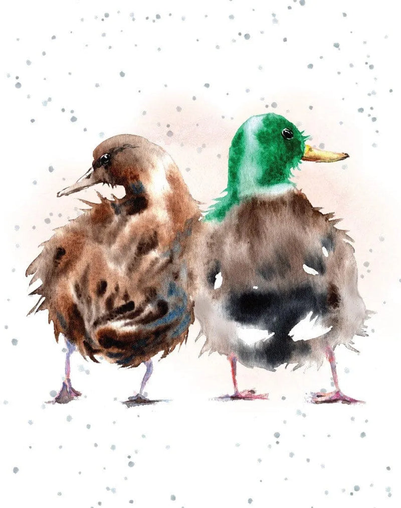 Enclosure Card What a Quack