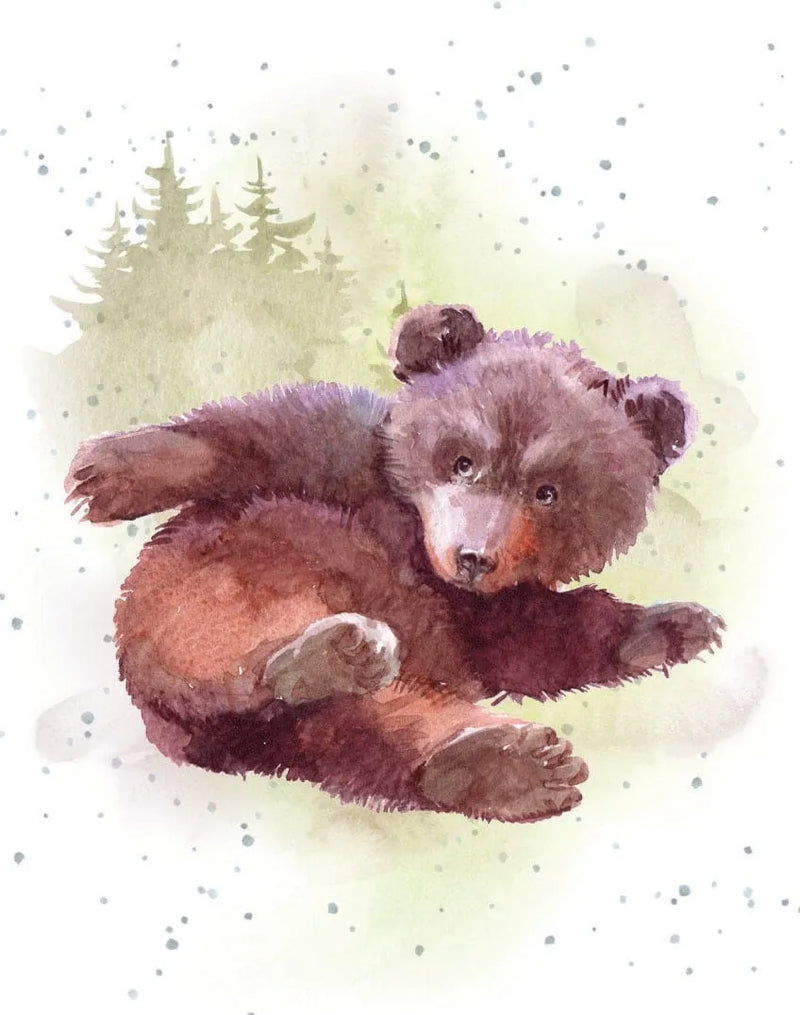 Enclosure Card-Baby Bear
