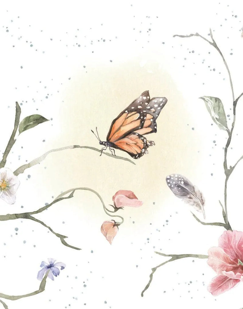 Enclosure Card Delicate Landing