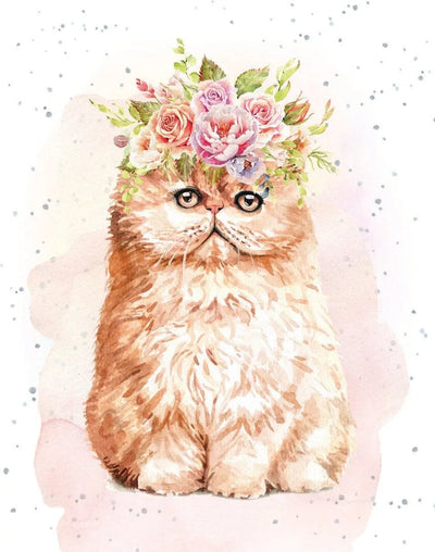 Enclosure Card-Callie the Cat