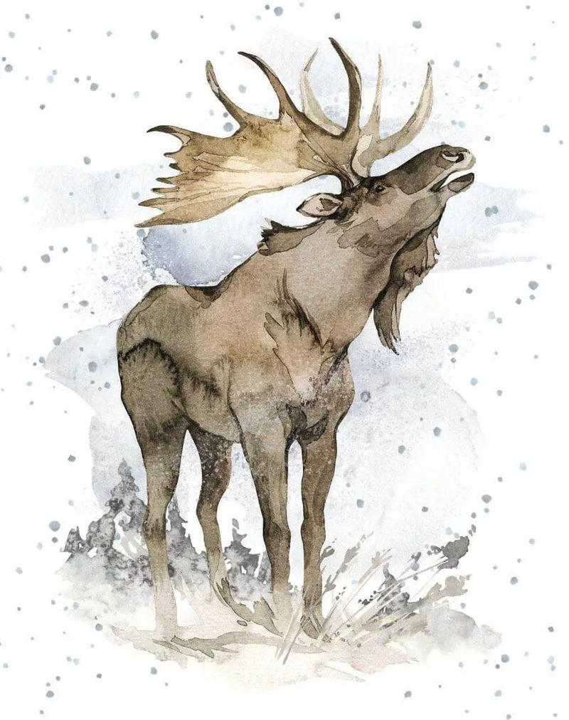 Enclosure Card-Moose be Love