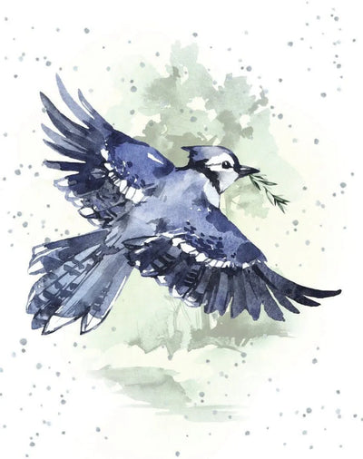 Enclosure Card-Blue Jay