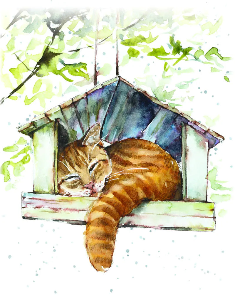 Enclosure Card Sunbathed Snooze