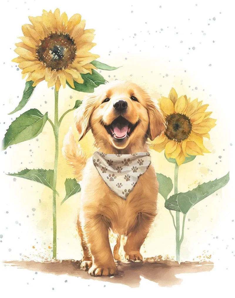 Enclosure Card Filled With Sunshine
