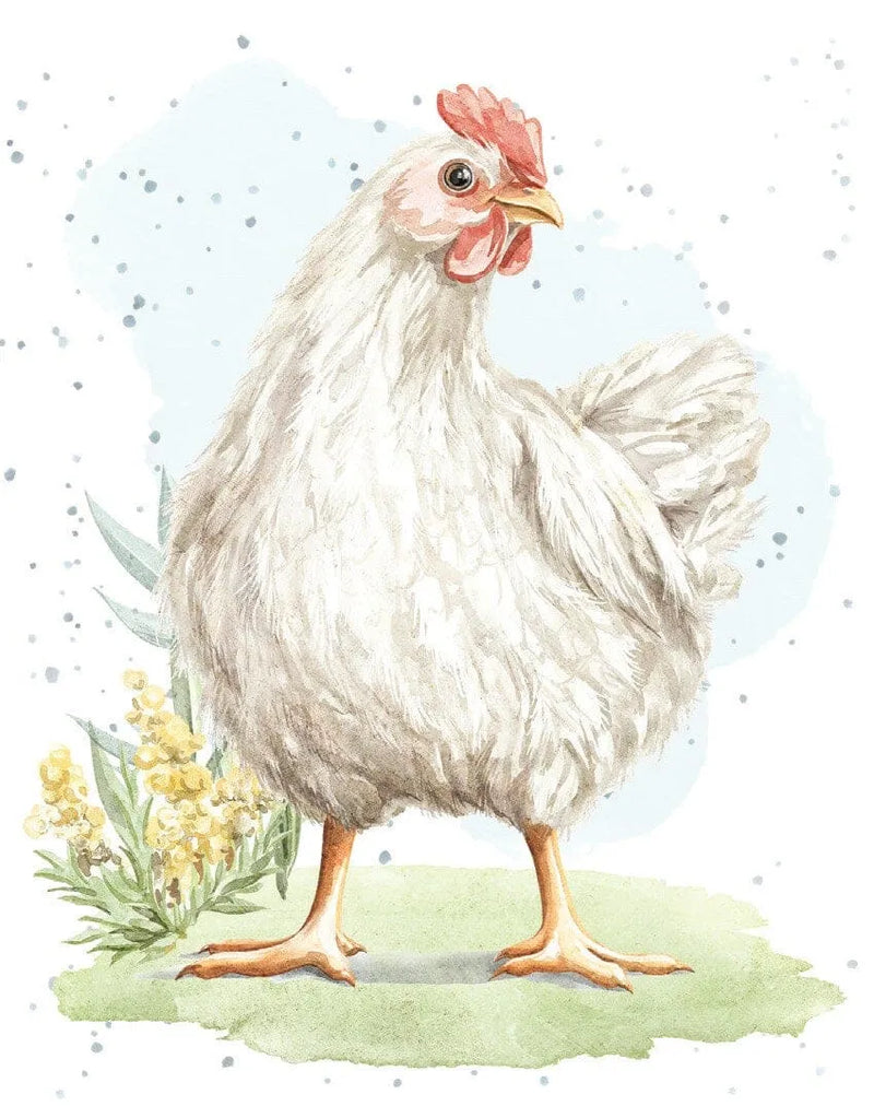 Enclosure Card Chicken In