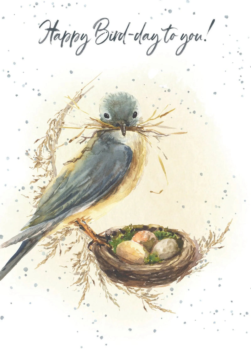 Happy Bird-Day Birthday Card