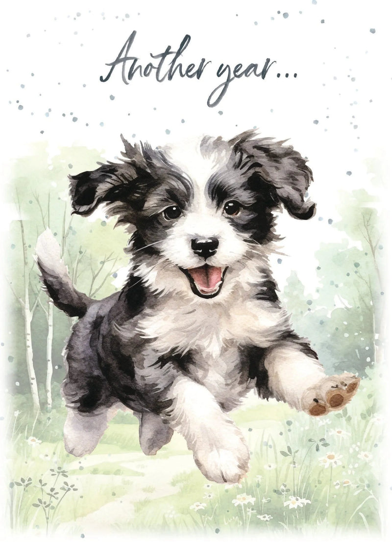 Another Year Birthday Card