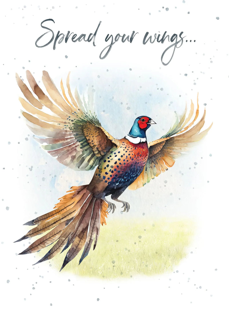Spread your Wings Birthday Card