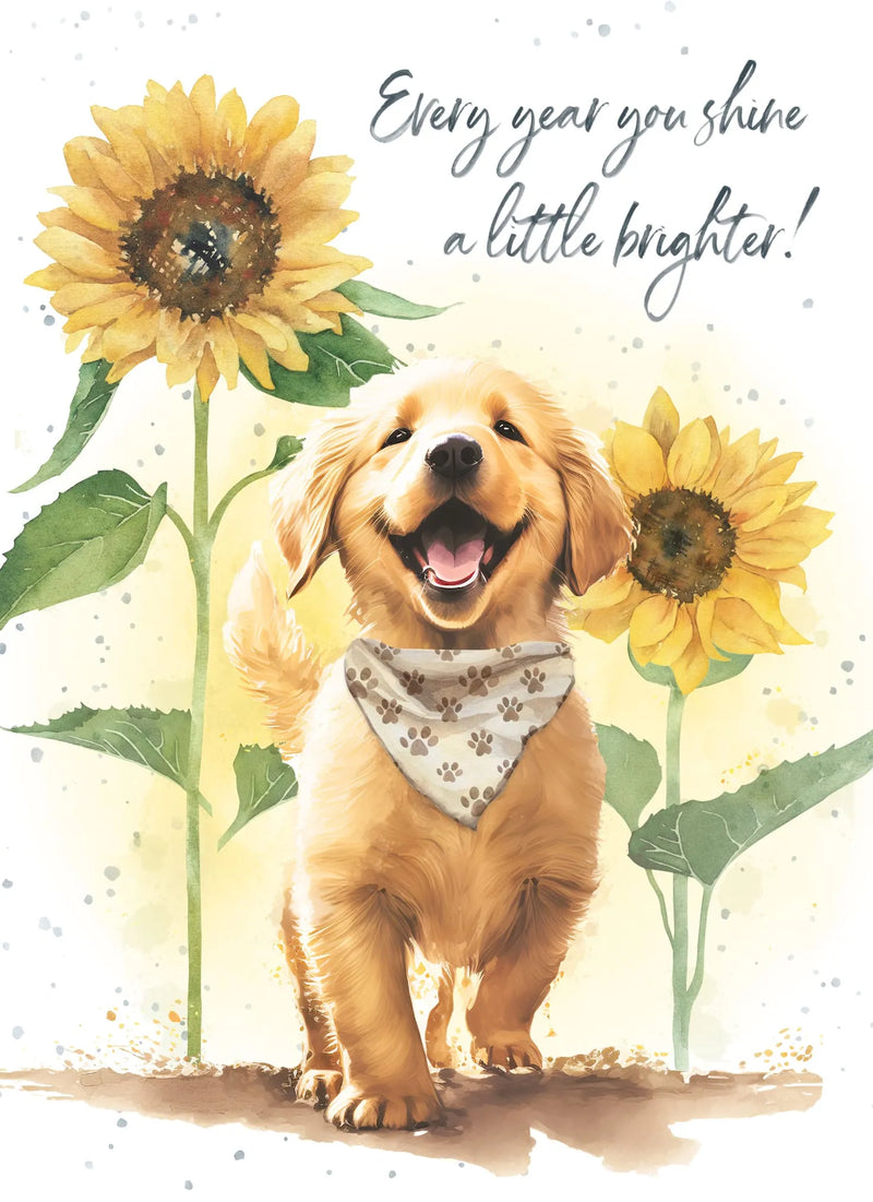 Filled With Sunshine Birthday Card