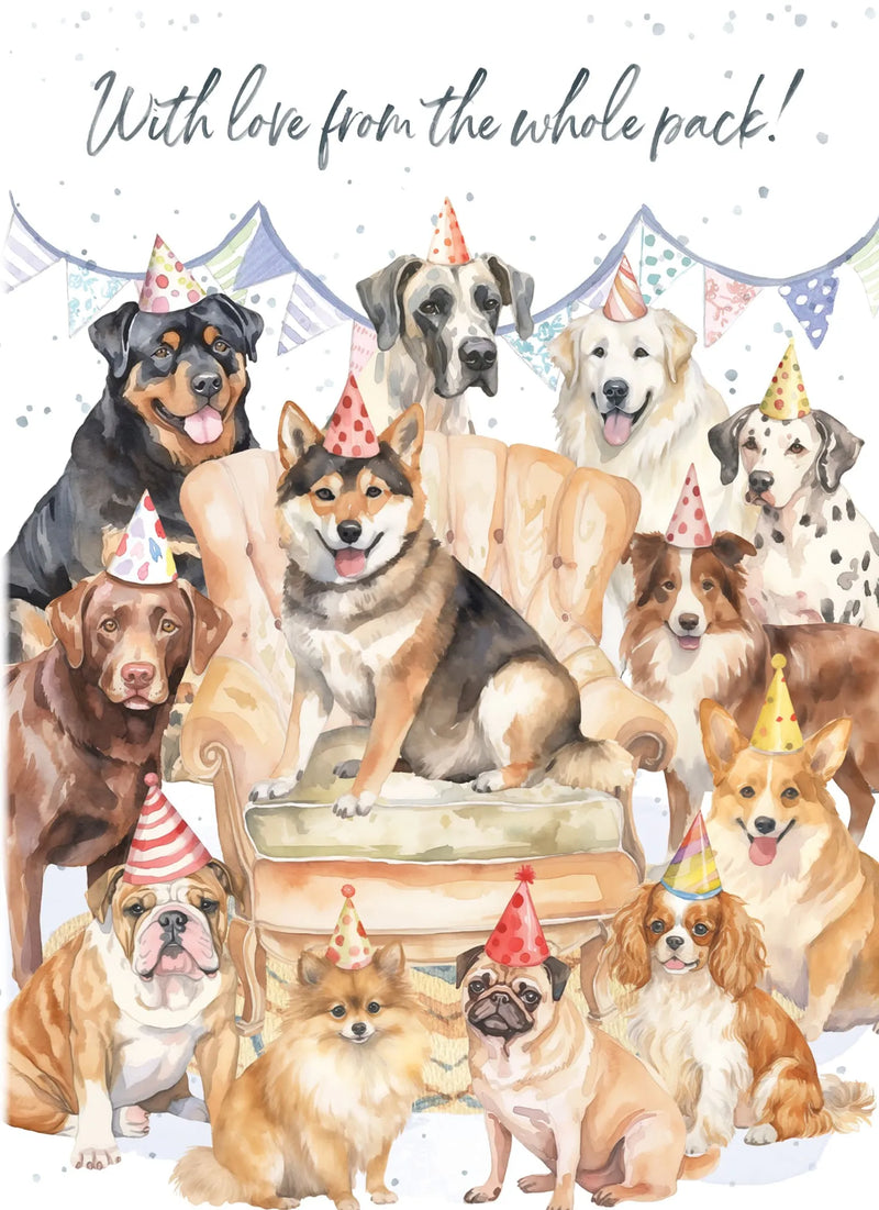 Love From Whole Pack Birthday Card