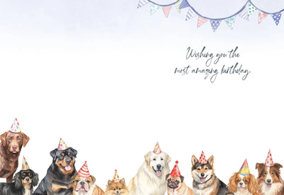 Love From Whole Pack Birthday Card