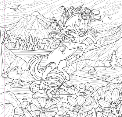 Enchanted Kingdom Adult Coloring Book