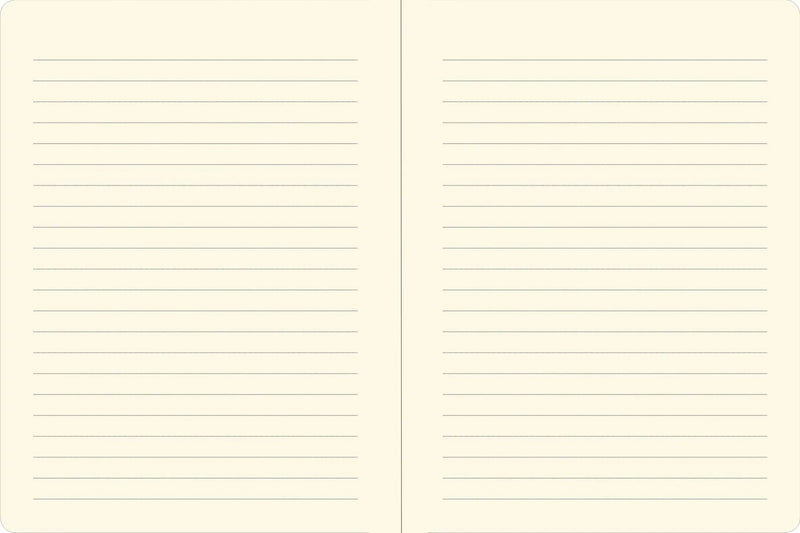 Axolotls Journal