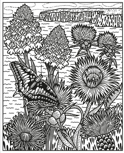Wildflowers Magic Painting Book