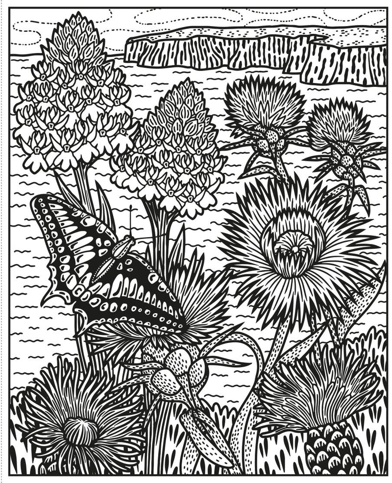 Wildflowers Magic Painting Book