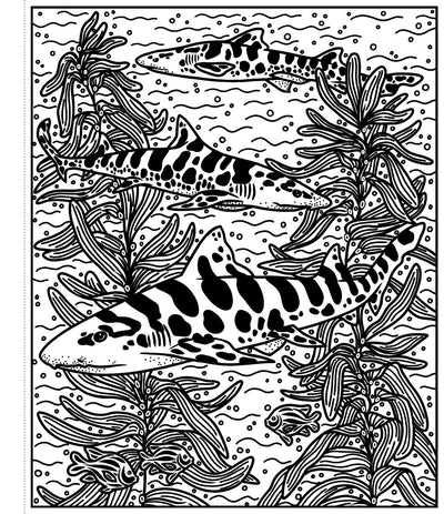 Sharks Magic Painting Book