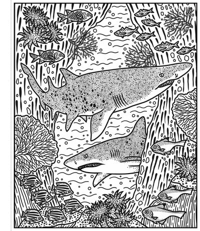 Sharks Magic Painting Book