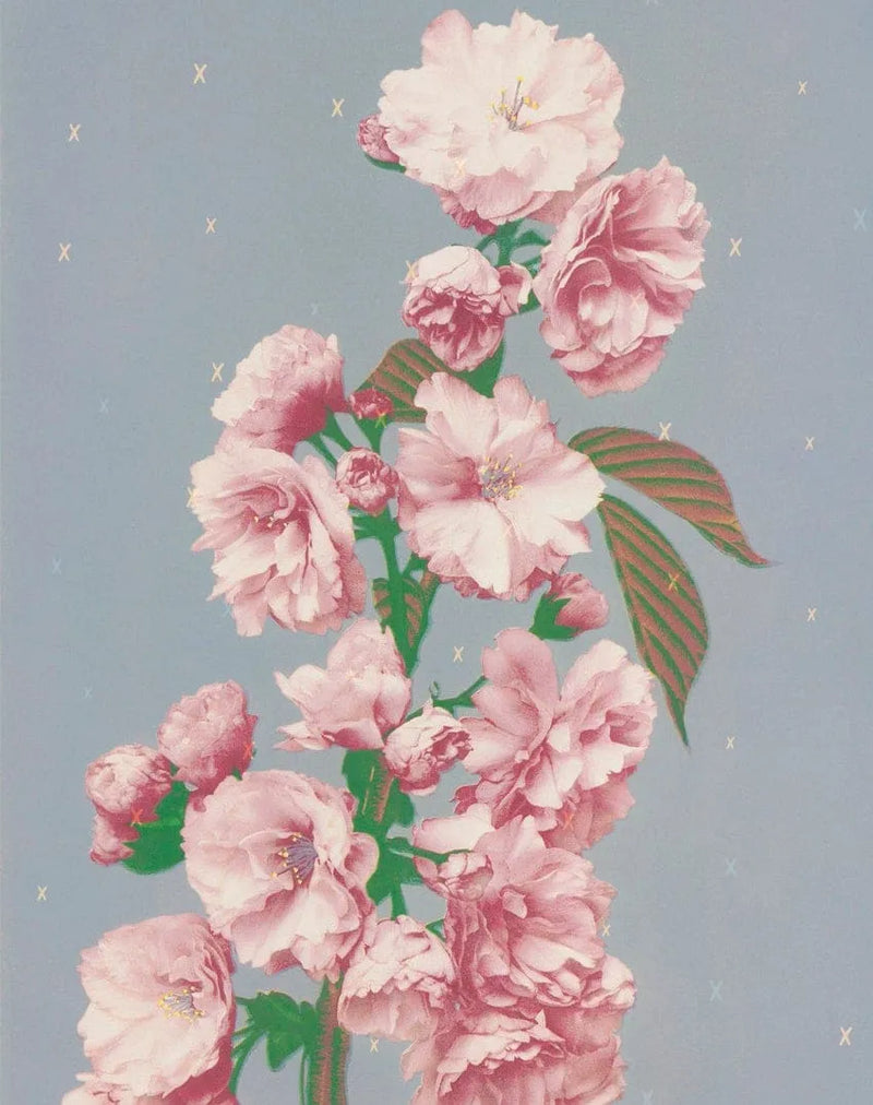 Botanic Enclosure Card