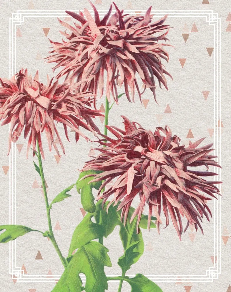 Whimsical Enclosure Card