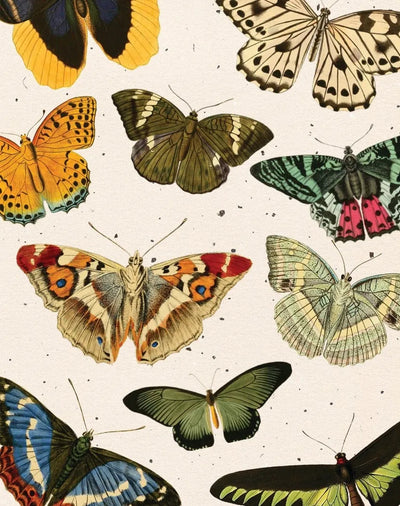 Eccentricity Enclosure Card