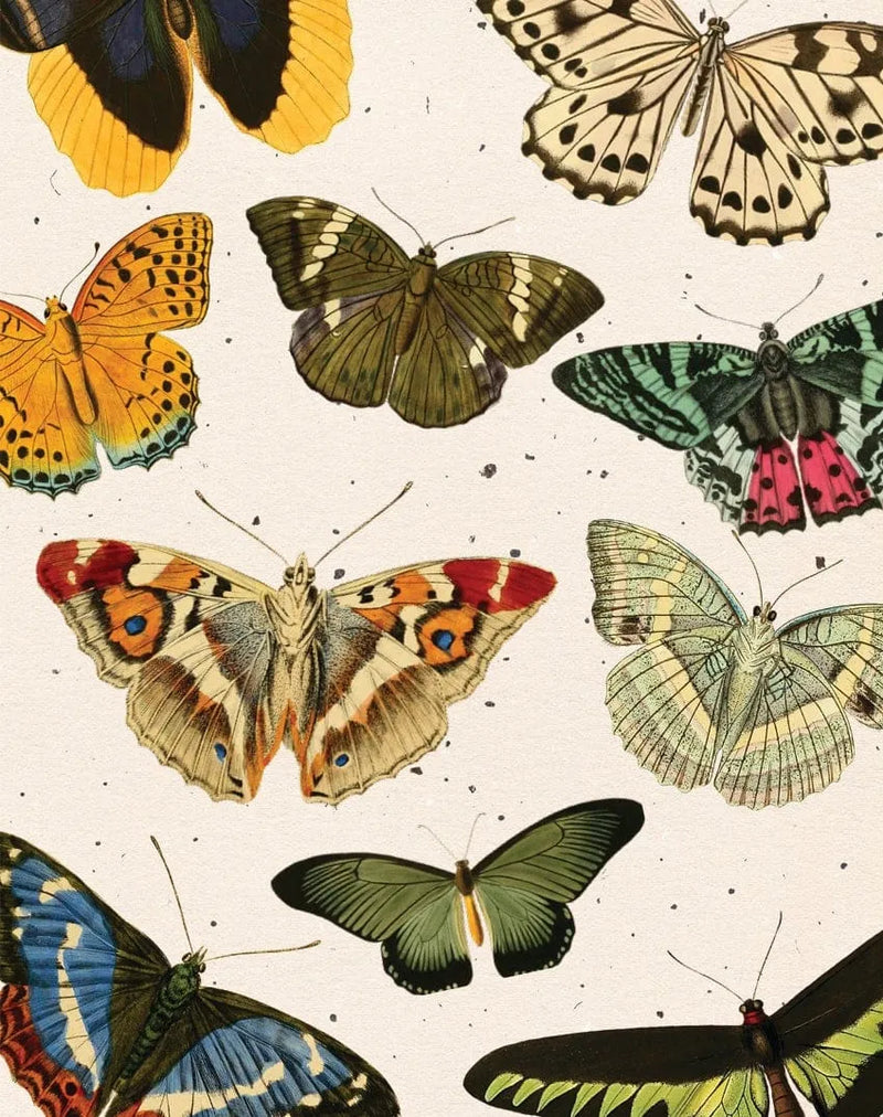 Eccentricity Enclosure Card