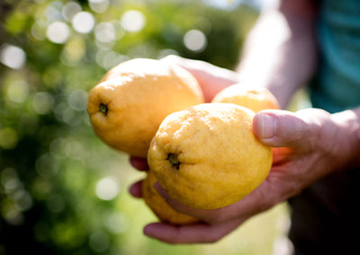 LIMITED EDITION – Lemon Weekend in Paris