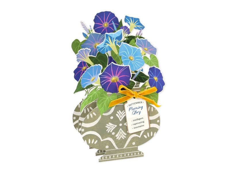 September-Morning Glory Pop Up Card