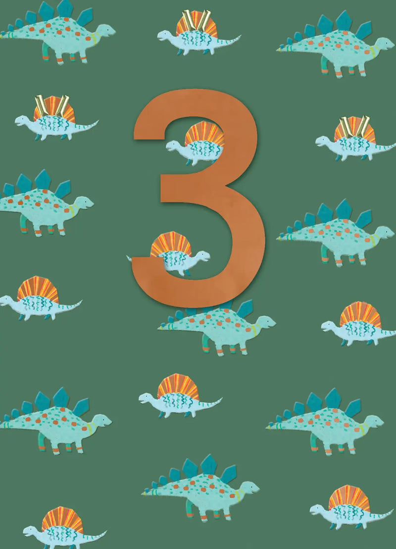 3 Dinosaurs Birthday Card