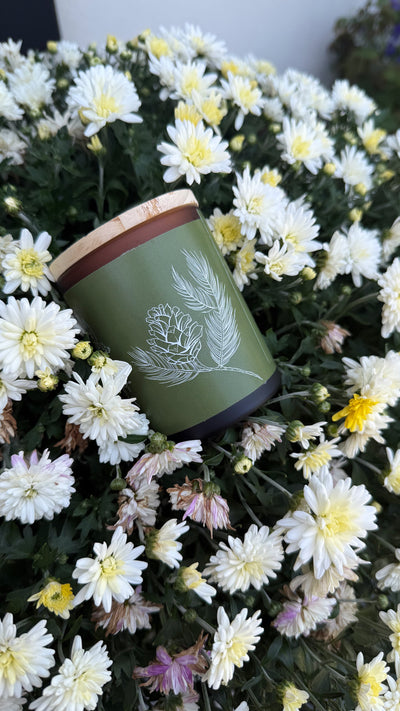 Fallen Pine – All Natural Autumn & Winter Candle 🌲