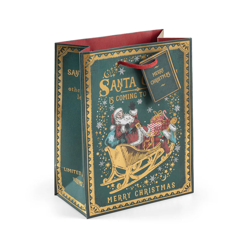 Santa Claus, Medium Christmas Gift Bag
