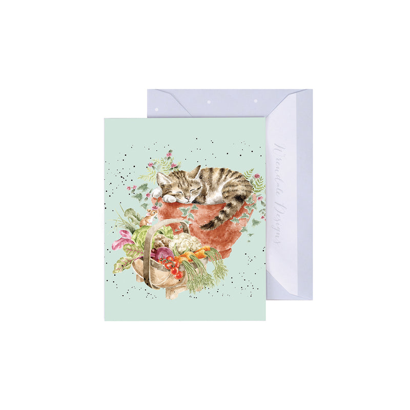Gift Enclosure Card-Each Sold Individually