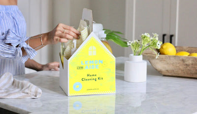 Lemon Aide Home Cleaning Kit