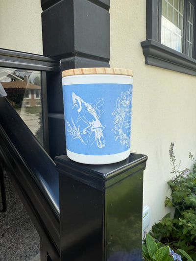 "Blue Jay at Dusk  " - Lavender Dreams 100% Soy Wax Candle - Made in Toronto