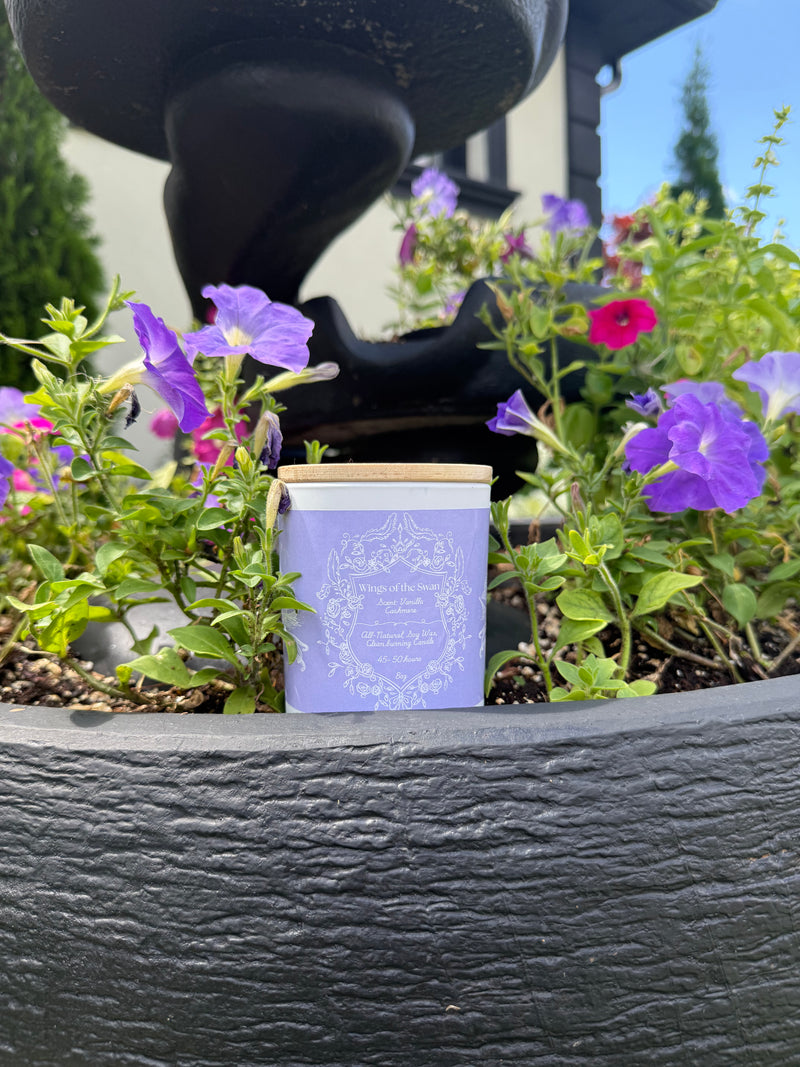 "Wings of the Swan" - Vanilla Cashmere 100% Soy Wax Candle - Made in Toronto