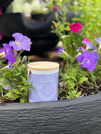 "Wings of the Swan" - Vanilla Cashmere 100% Soy Wax Candle - Made in Toronto