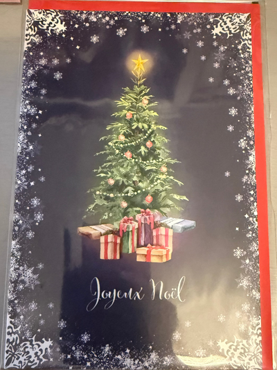Joyeux Noel Christmas Card