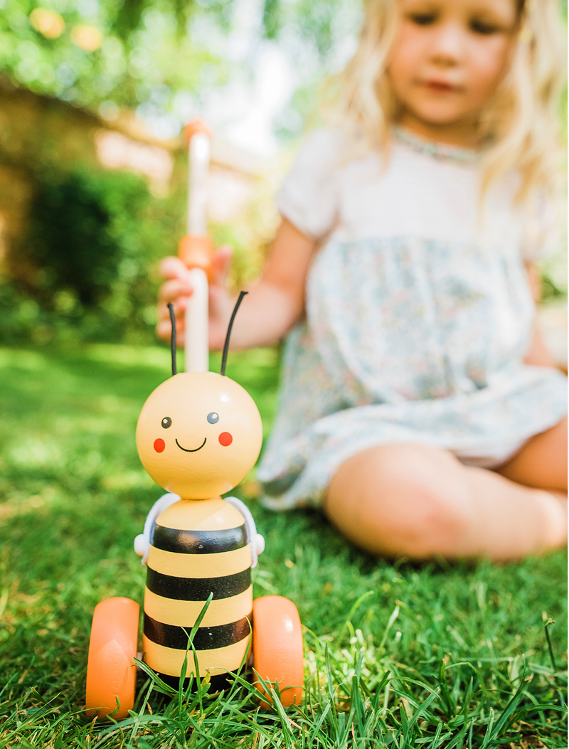 Honey Bee Push Along In a Box