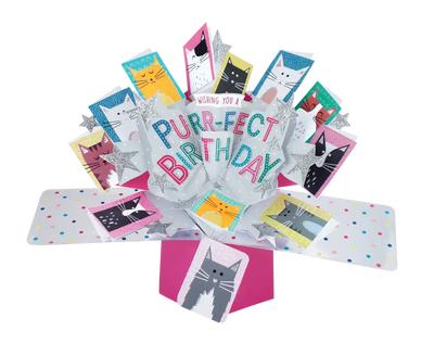 Cats Pop Up Card